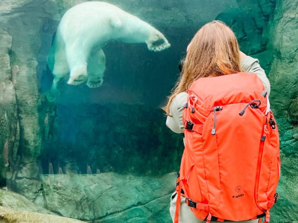 Family Trip to Winnipeg - Bears at Zoo