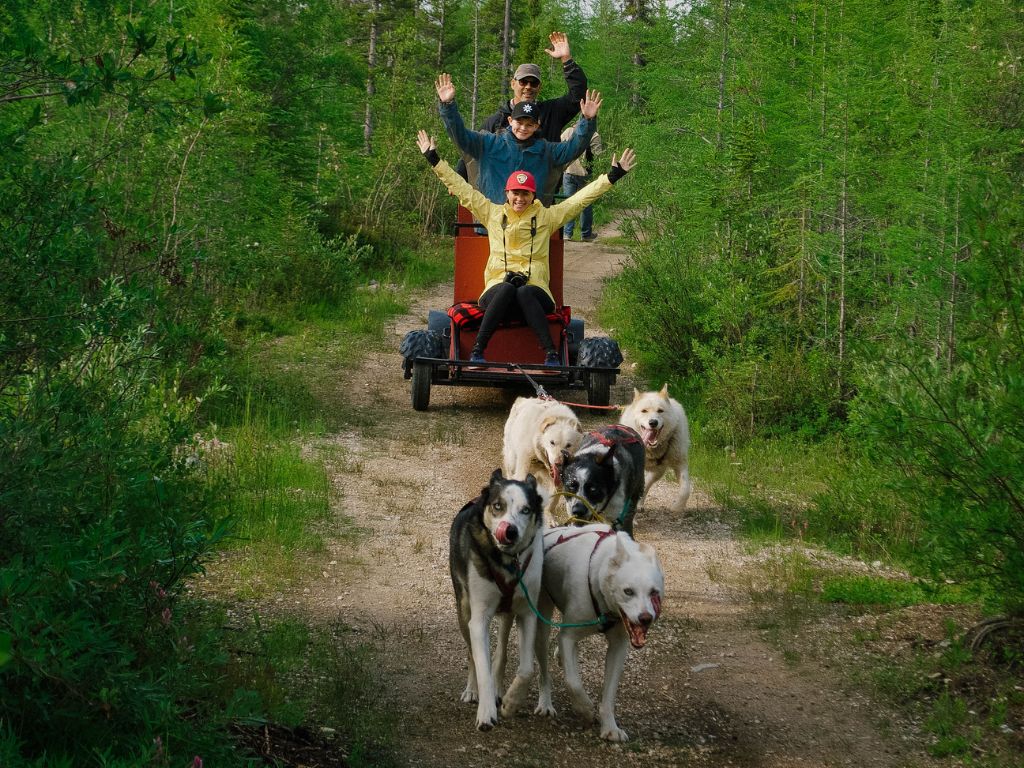 three people on a dog cart on a trail in the forest an Indigenous Cultural Experience