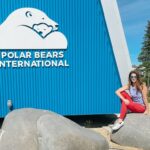 Family-Tours-Churchill-Polar-Bears-International