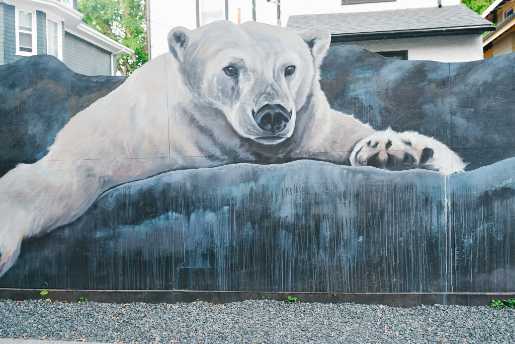 polar bear mural
