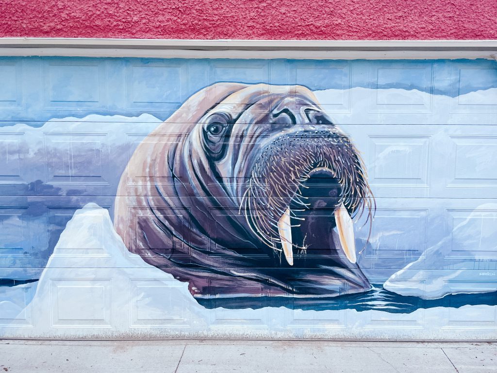 walrus mural in winnipeg