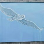 snowy owl mural at the back alley arctic murals