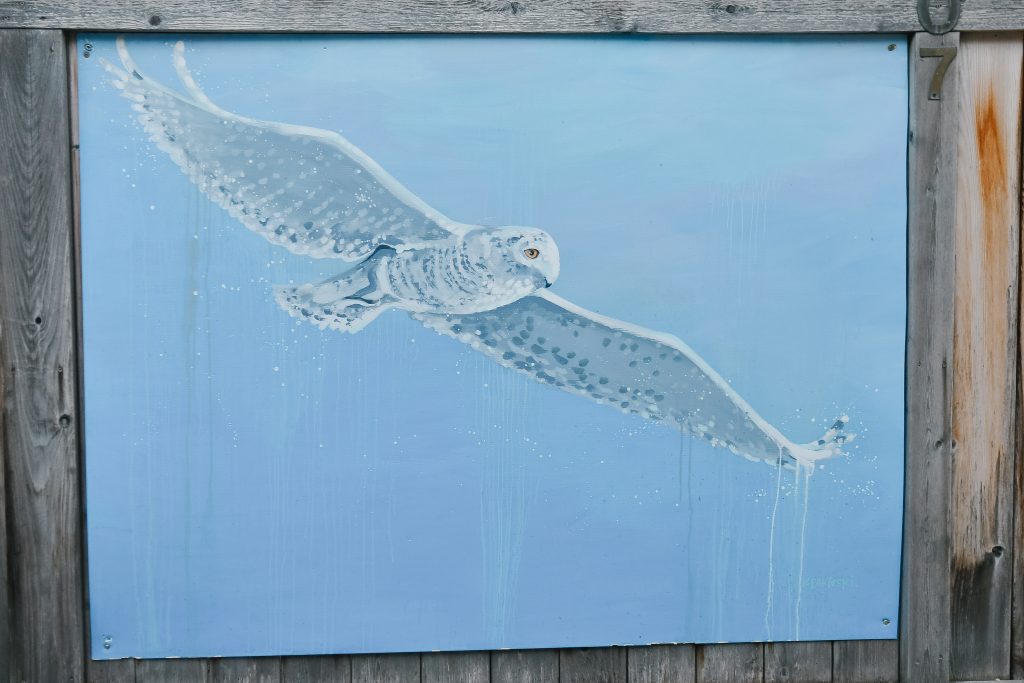 snowy owl mural at the back alley arctic murals