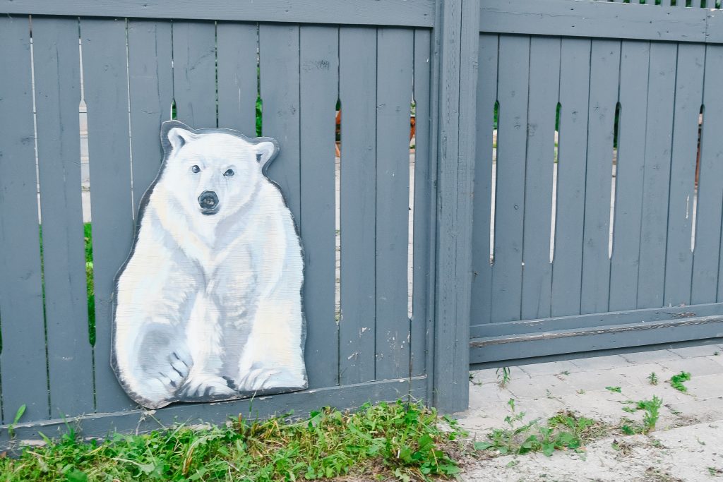 polar bear mural on a fence