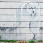 polar bear mural on a garage door in the back alley arctic