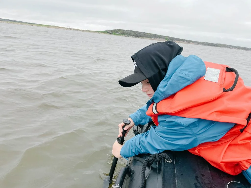 beluga whale watching in churchill manitoba