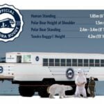 tundra-buggy-adventure-info