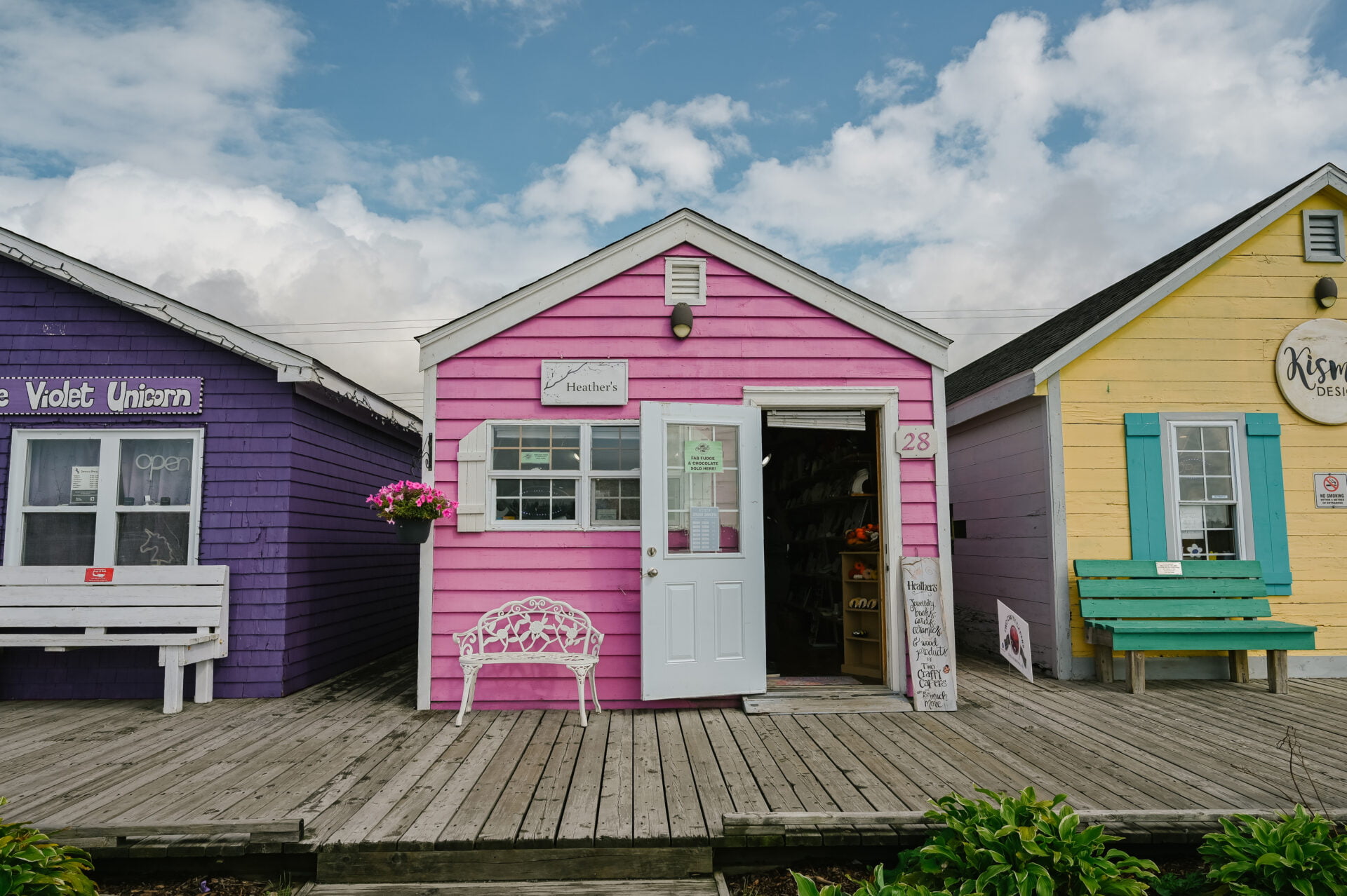 small pink shop between a purple and yellow shop on the boardwalk in fisherman's cove nova scotia