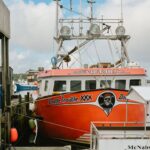 Fishermans-Cove-Nova-Scotia-21.5