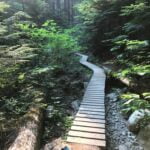 Pedalheads-Mountain-Biking-Camp-1