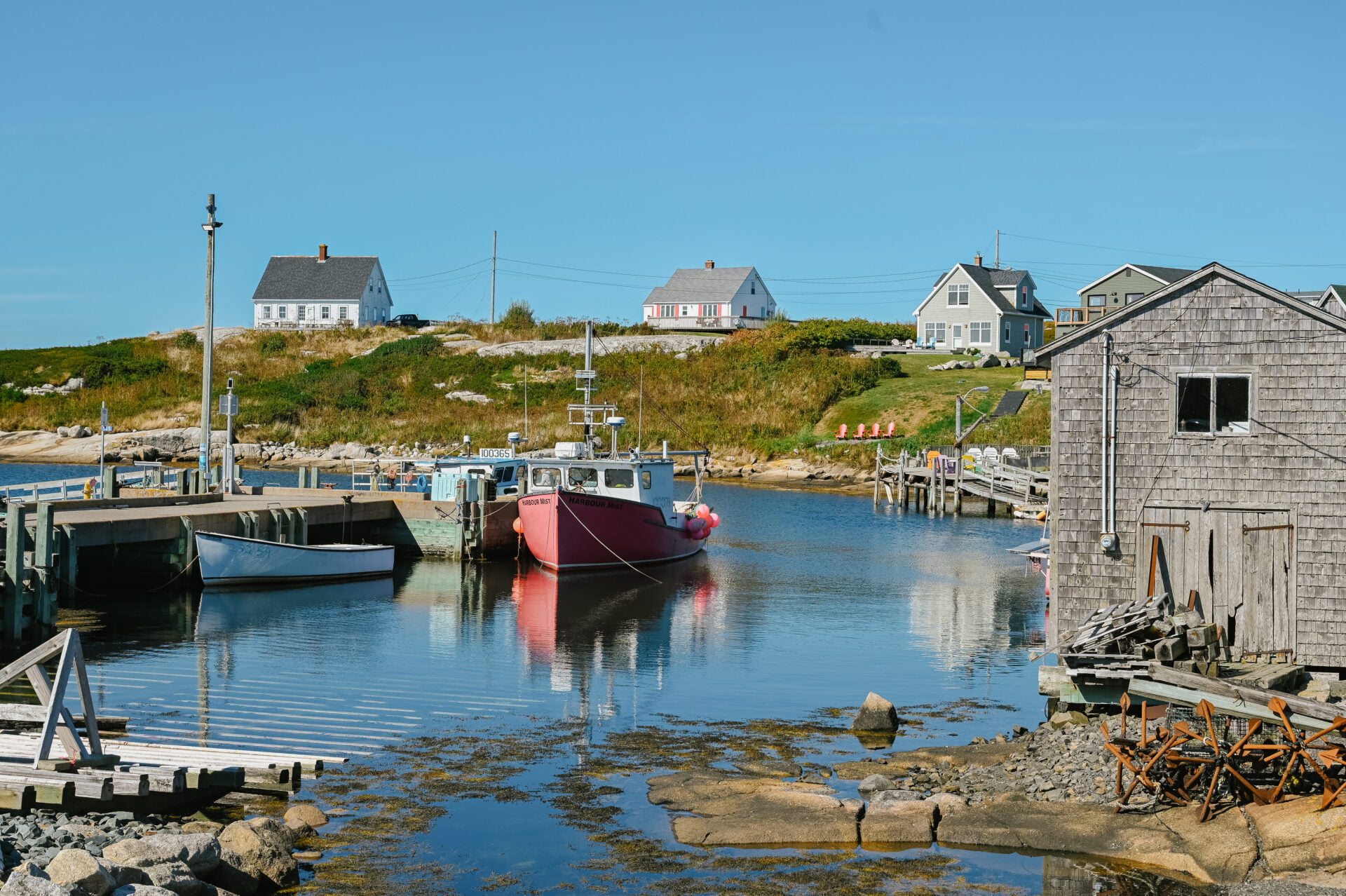 houses up on the hill overlooking boats in the harour on a peggy's cove tours