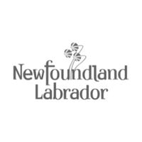 Tourism-Newfoundland client-image