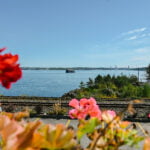 bedford-basin-farmers-market-19