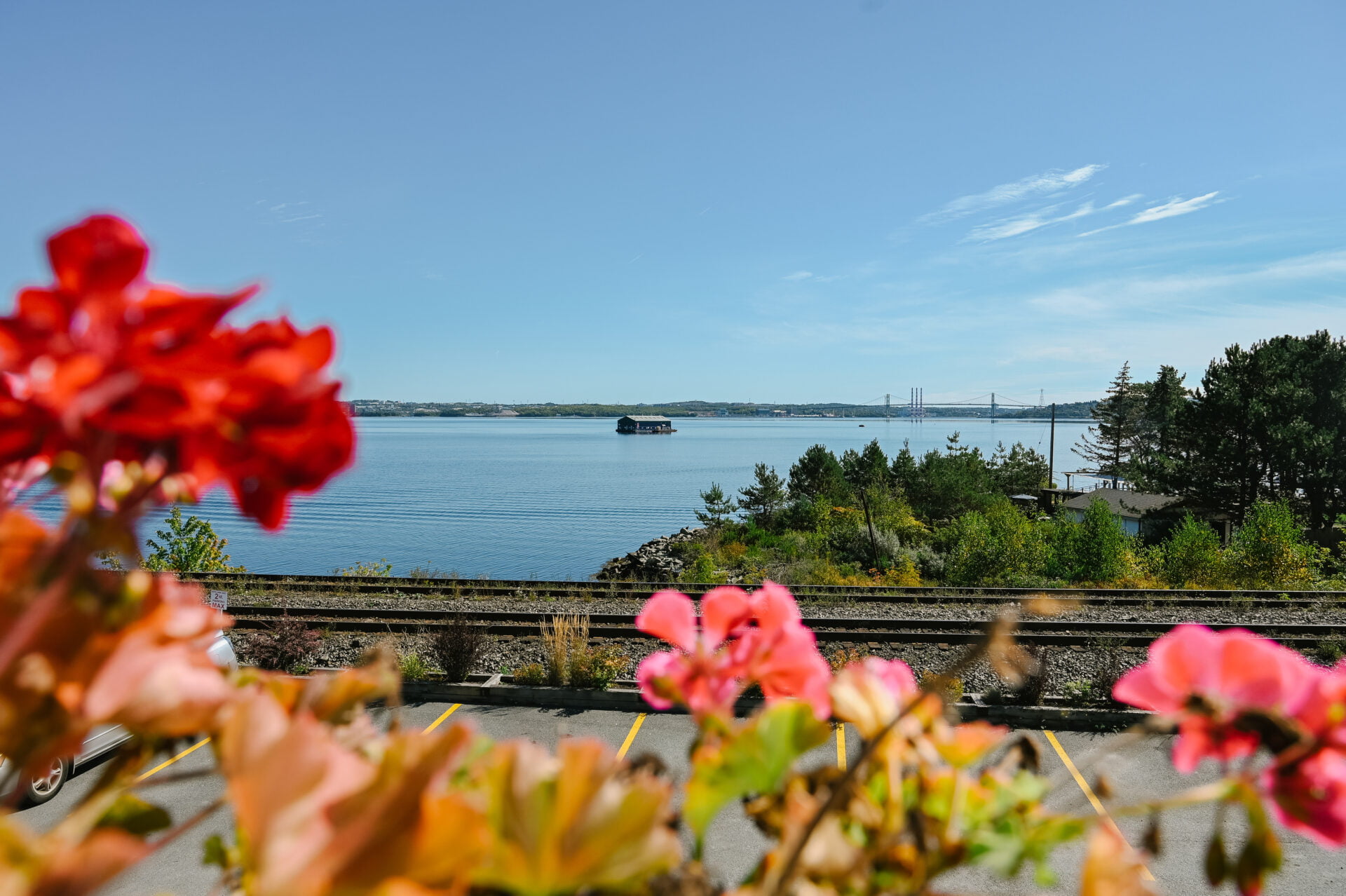 photo overlooking the train tracks and the bedford basin from the farmers market