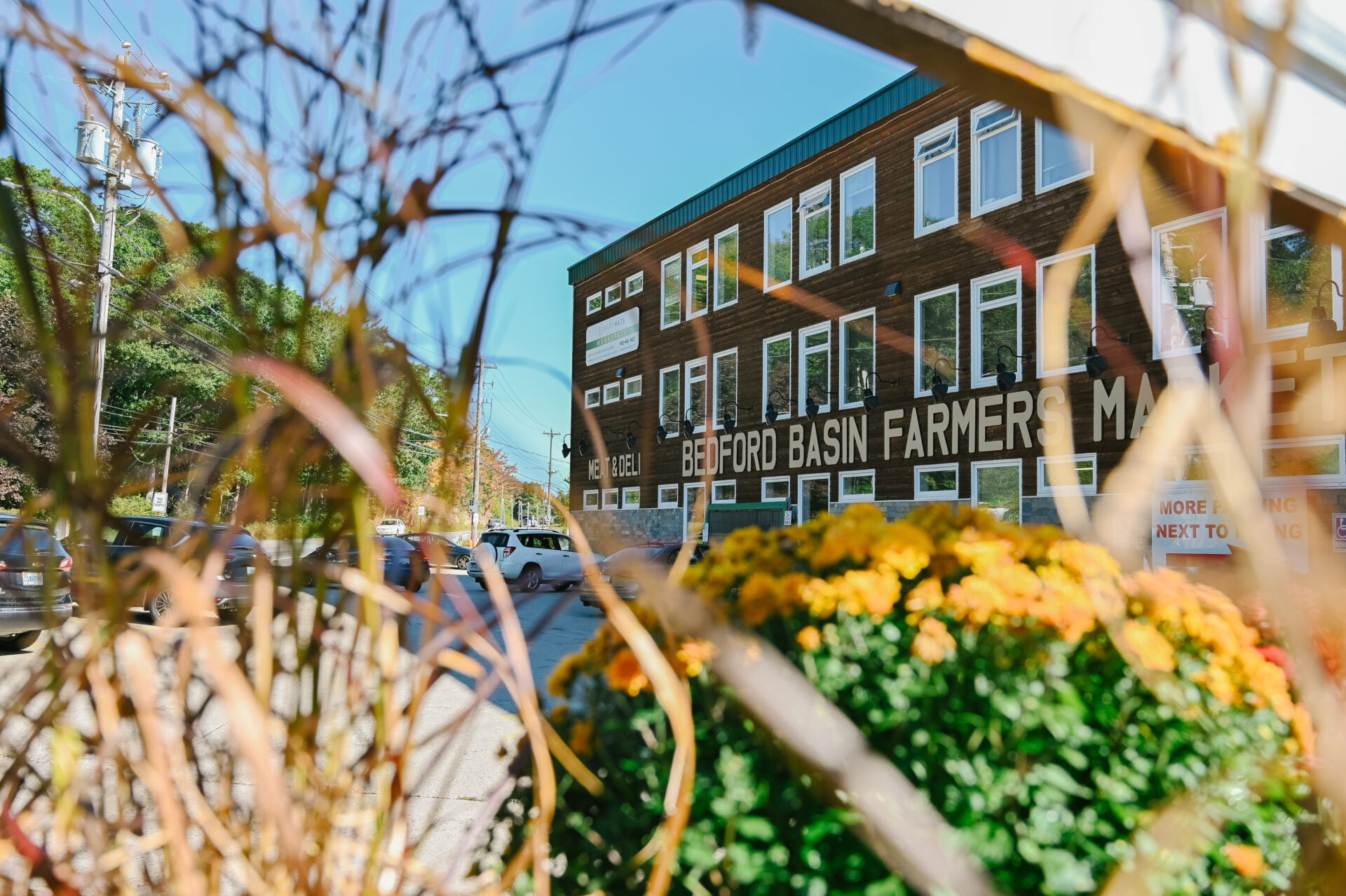 artistic photo of the outside of the bedford basin farmers market through the garden