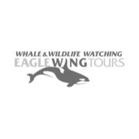 eagle-wing-whale-watching-tours client-image