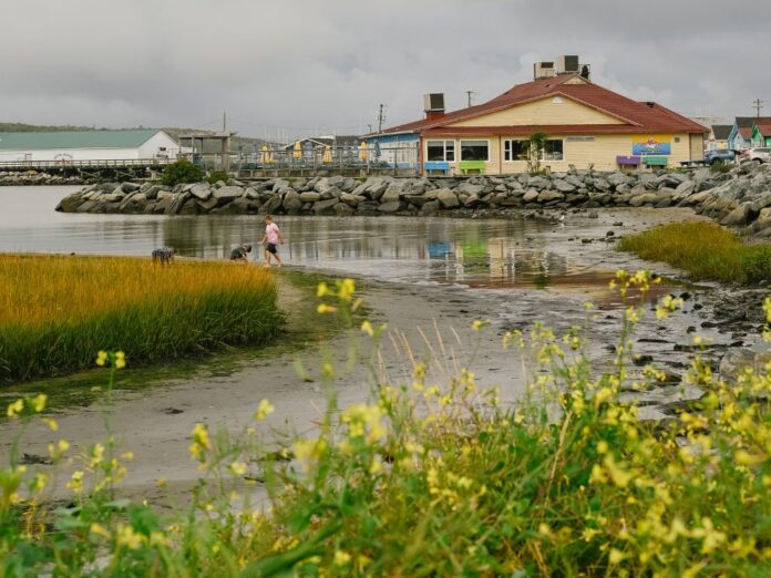 Guide To Eastern Passage Nova Scotia 11 Adventures & Places To