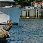 halifax-harbour-boat-tour-10