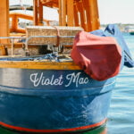 halifax-harbour-boat-tour-30