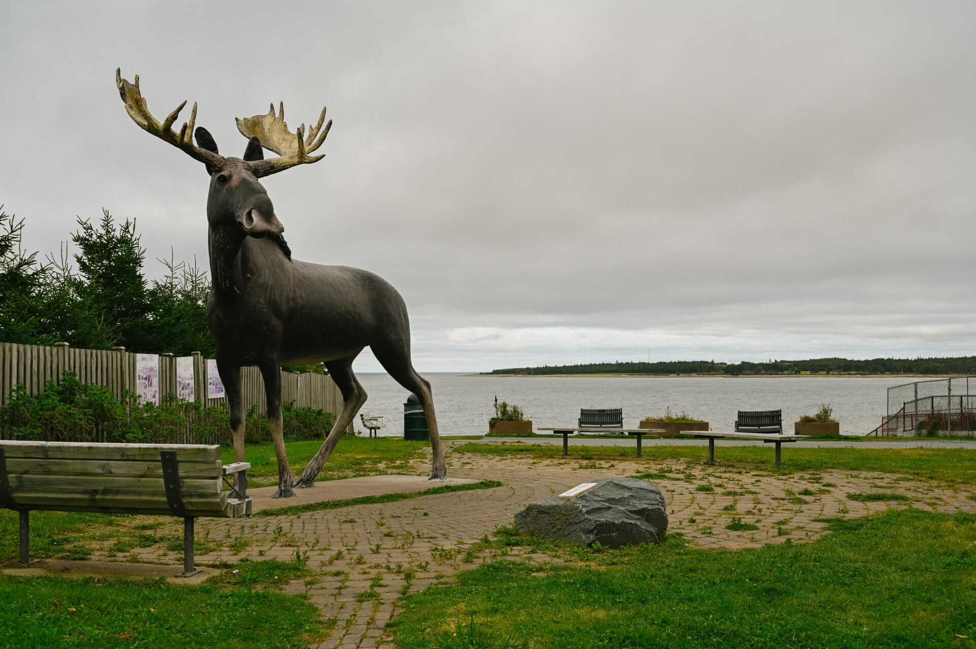 Big Moose statue in Cow Bay, a great photo opportunity on our Halifax road trip 