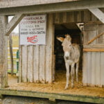 things-to-do-in-bedford-nova-scotia-7