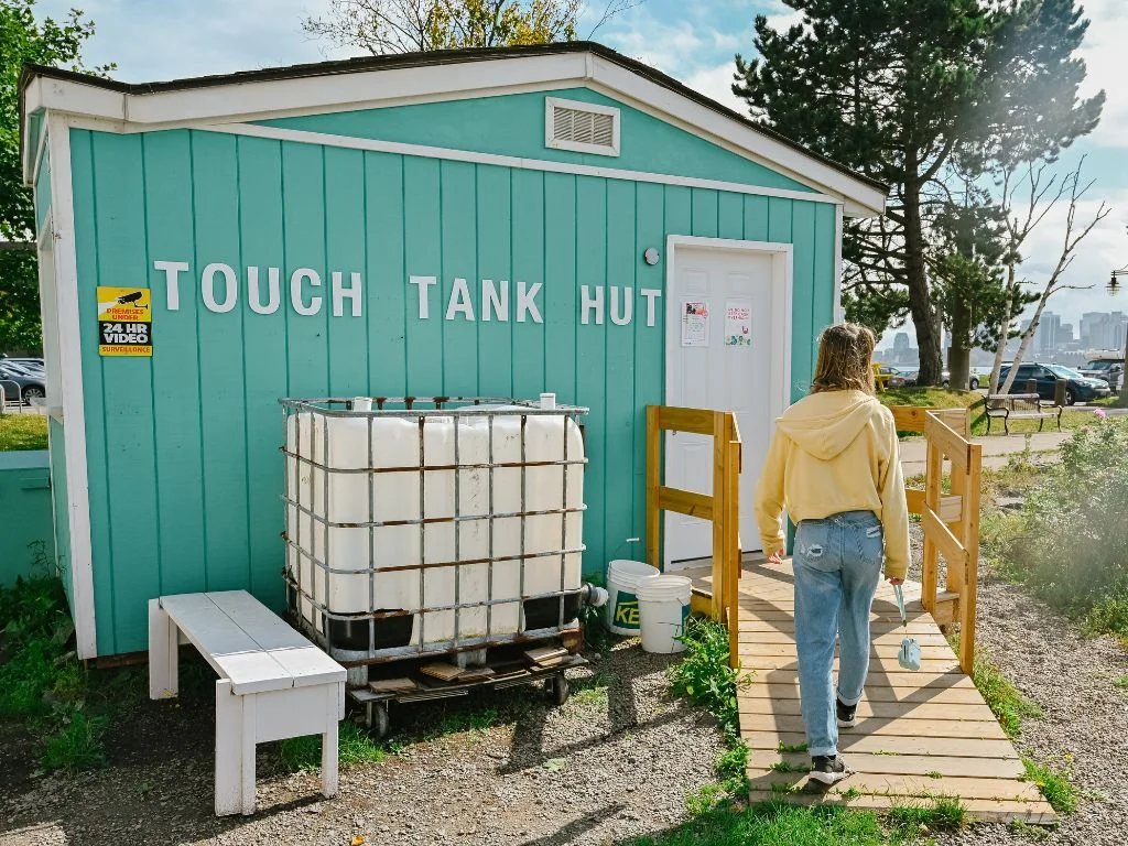 Touch Tank Hunt, Dartmouth Nova Scotia, a great family stop on our Halifax road trip