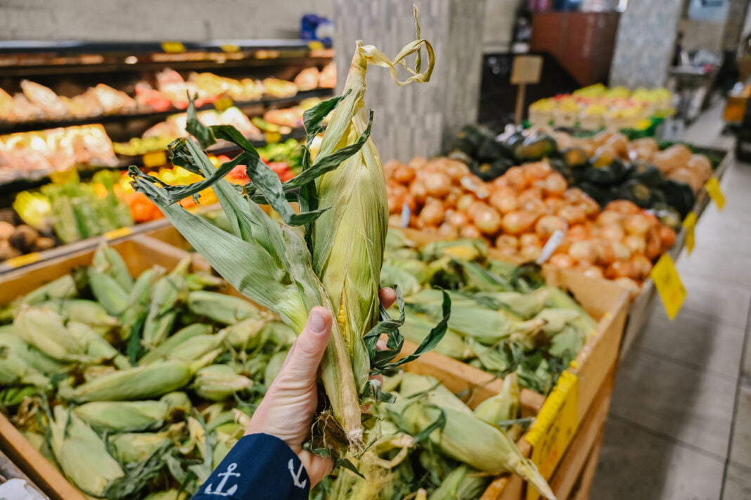 Bedford Basin Farmers Market 20 Authentic Photos To Inspire You To