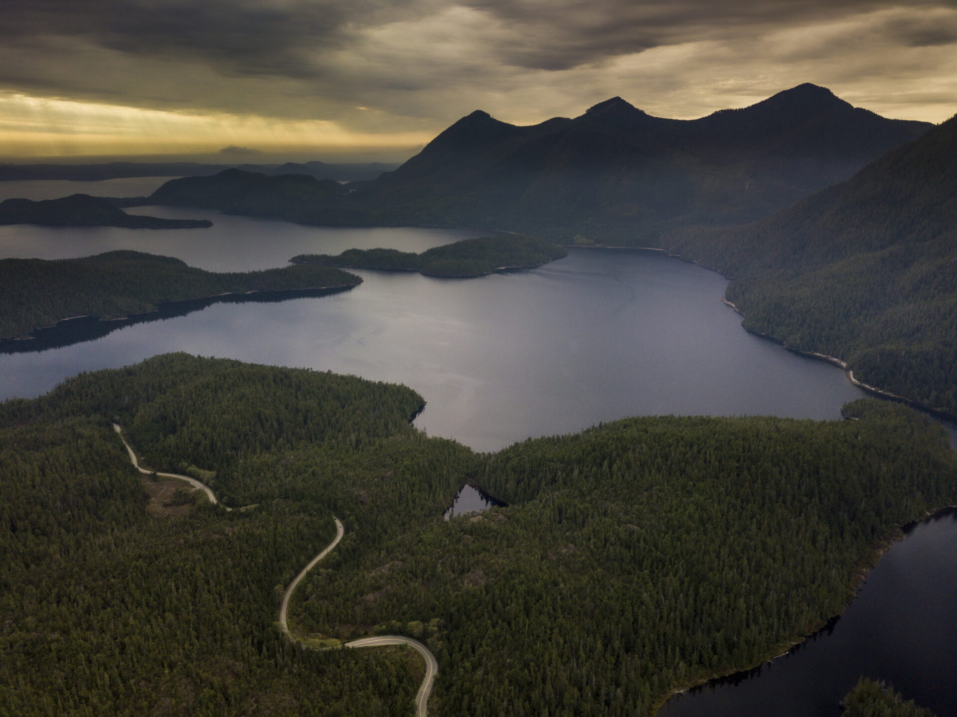 aerial view of a road winding its way through the forest in tofino 
