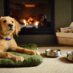 best-storm-watching-hotel-in-tofino-Pup-by-the-Fireplace-Christopher-Pouget