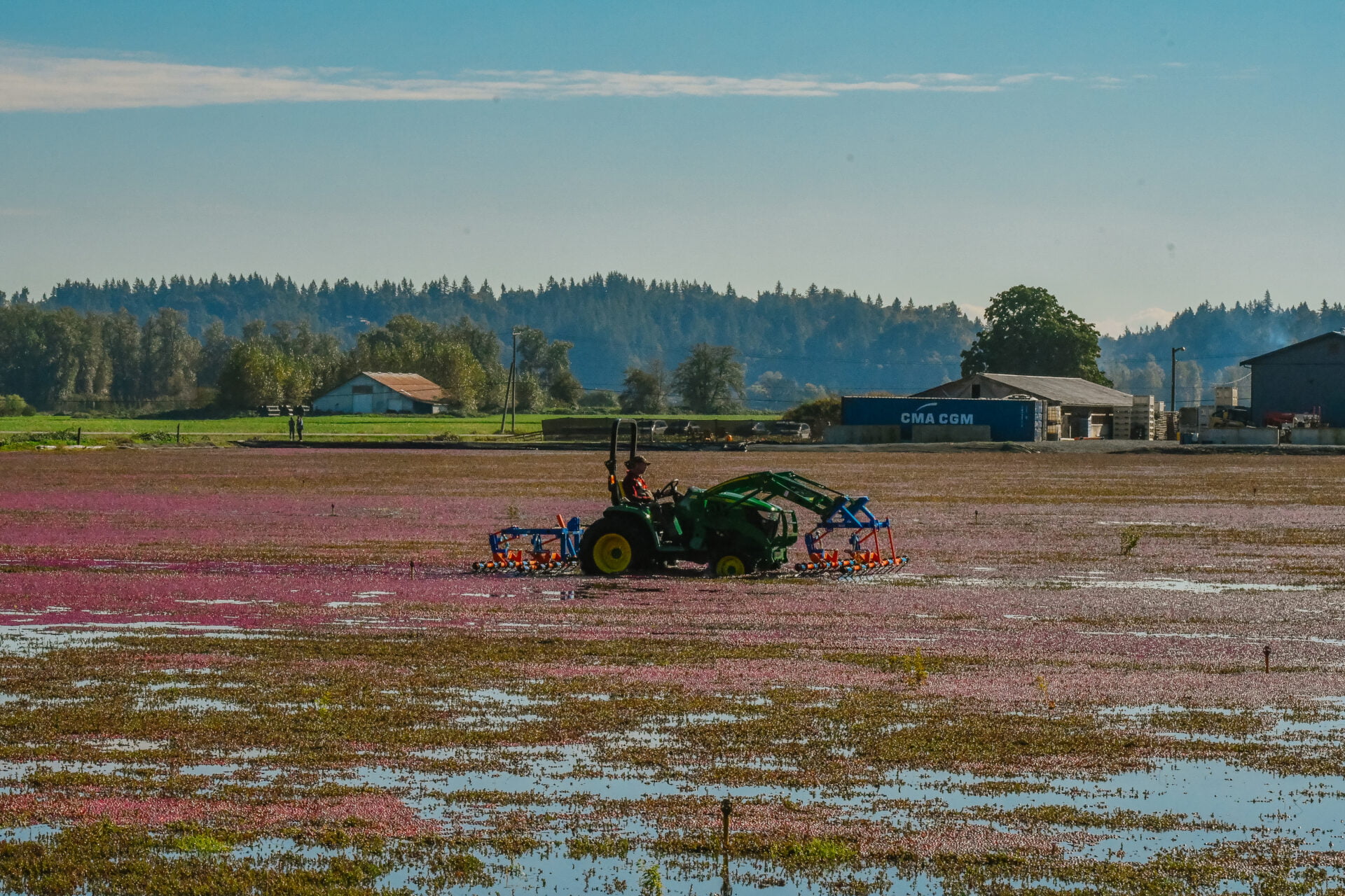 tractor in the cranberry field
