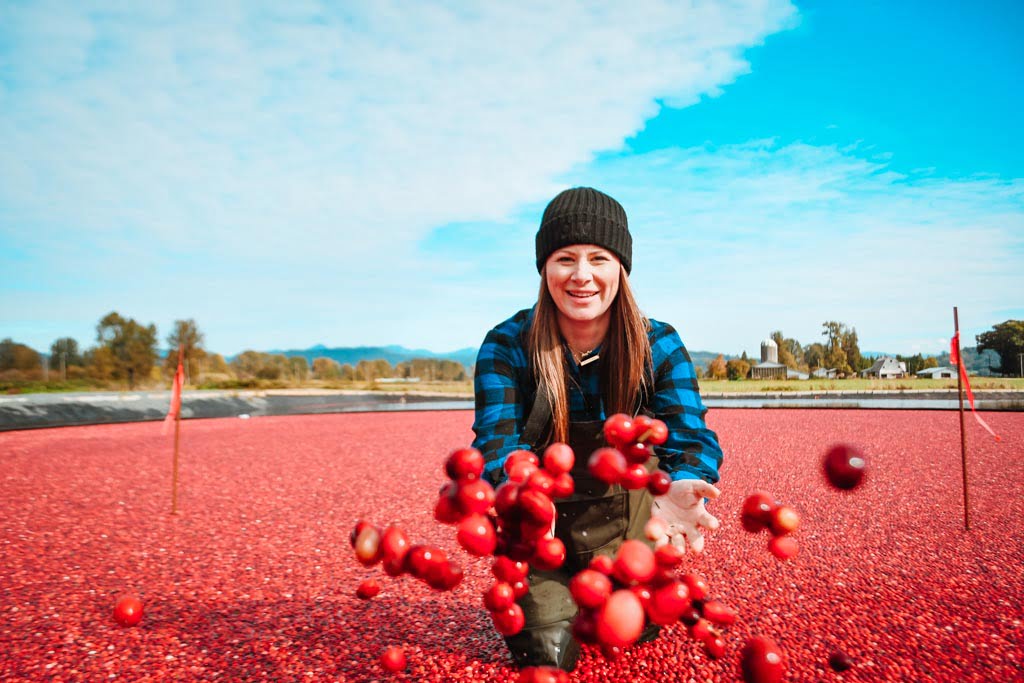 woman throwing cranberries at the camera at the cranberry farm langley