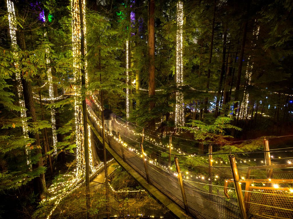 capilano suspension bridge and trees covered in christmas lights