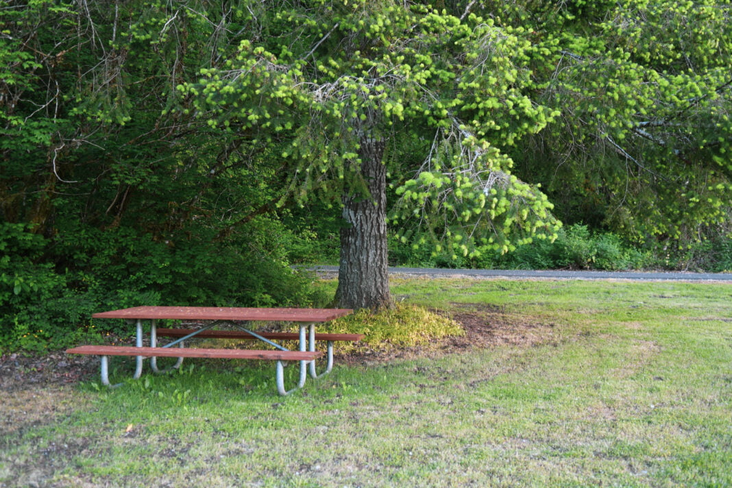 The Glen At Maple Falls Family Travel Blog Adventure Awaits