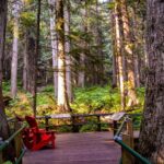 best-location-to-host-a-family-reunion-in-BC-revelstoke-national-park