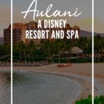 Aulani a Disney Resort and Spa PINS