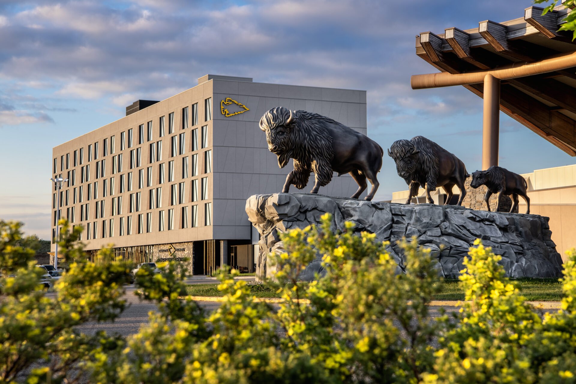 3 buffalo statue outside the dakota dunes resort an indigenous cultural experience