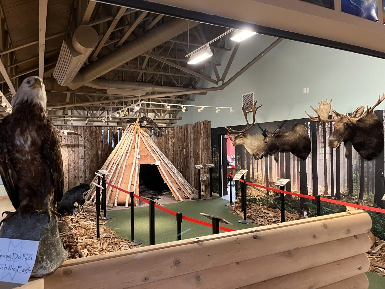 inside view of the millbrook cultural and heritage centre, a teepee display is shown, an Indigenous cultural experience