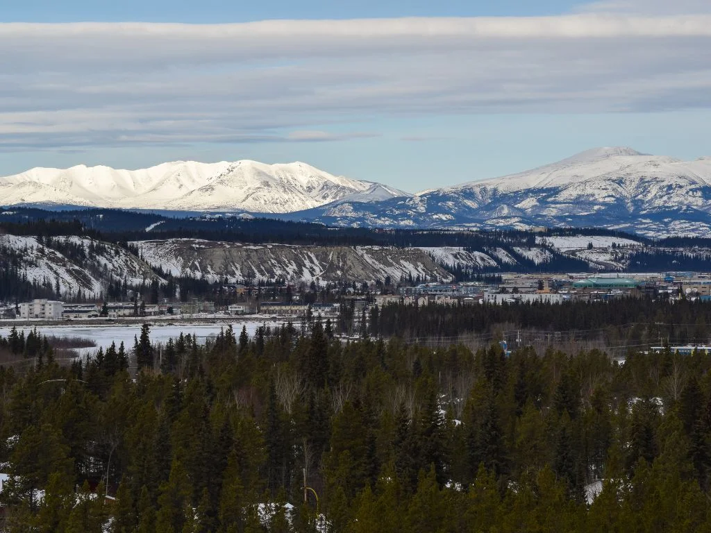 snowy view of whitehouse, yukon