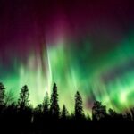 indigenous-cultural-experience-2