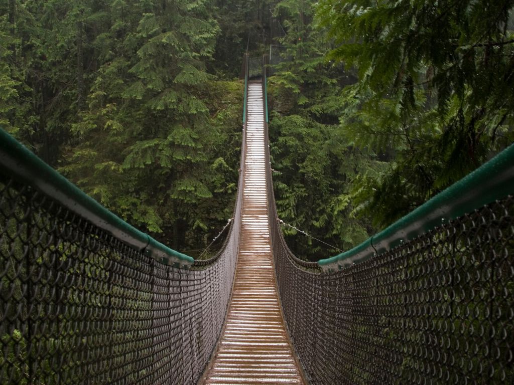 looking across an empty lynn canyon suspension bridge one of the spring break ideas vancouver