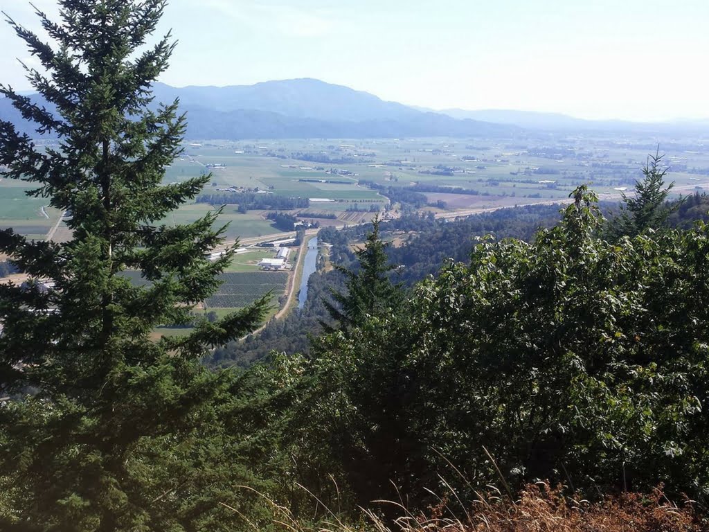 view from the top of the abby grind a Family Friendly Hikes Fraser Valley