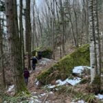 Best-Kid-Friendly-Hike-Abbotsford-Ambidextrous-Trail