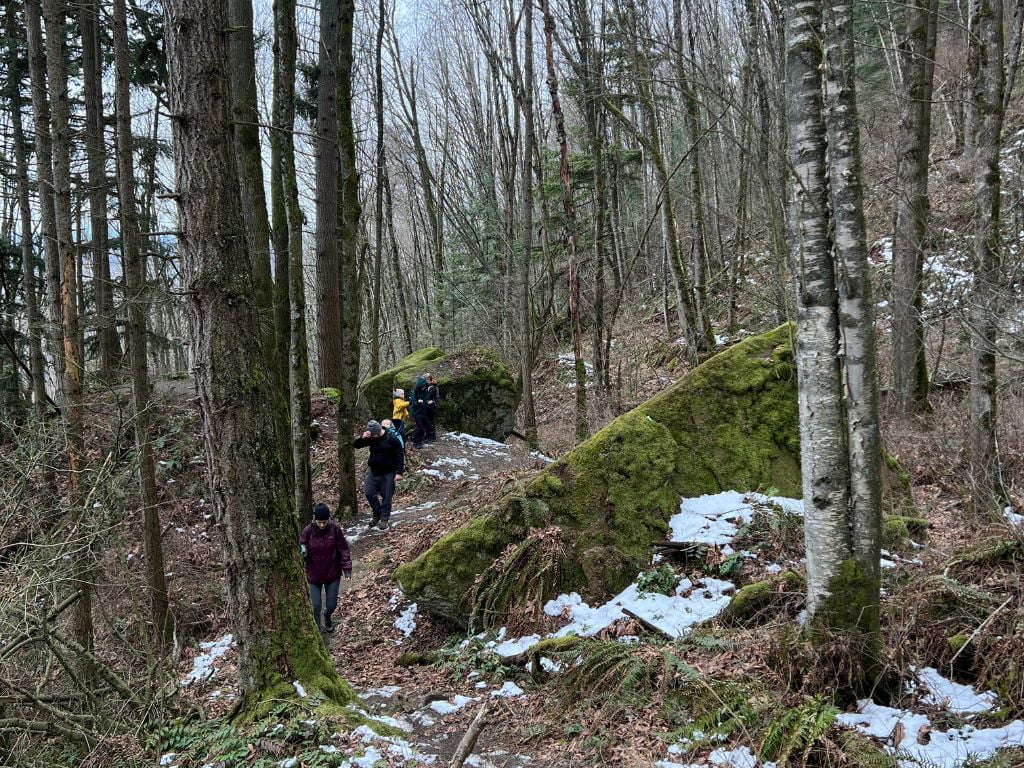 families hiking on a trail in winter