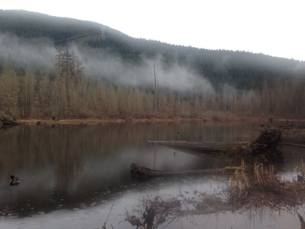 view of buntzen lake from the trail