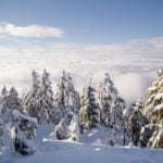 Dog-Mountain-Snowshoe-North-Vancouver-Family-Friendly-Hikes-Fraser-Valley