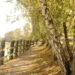 Family-Friendly-Hikes-Fraser-Valley-Fort-to-Fort-Trail-Langley