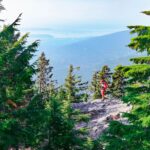 Family-Friendly-Hikes-Fraser-Valley-dog-mountain-summer