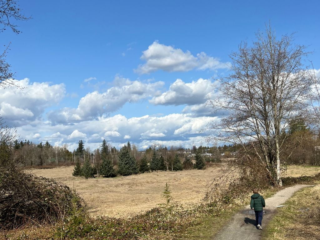 boy walking the trails of high knoll park in surrey