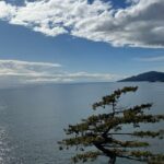 Lighthouse-Park-West-Vancouver-Family-Friendly-Hikes-Fraser-Valley