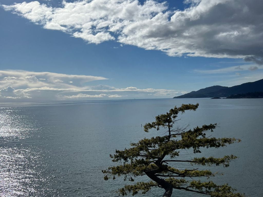 view of the ocean from the hiking trail at lighthouse park in west vancouver, a Family Friendly Hikes Fraser Valley